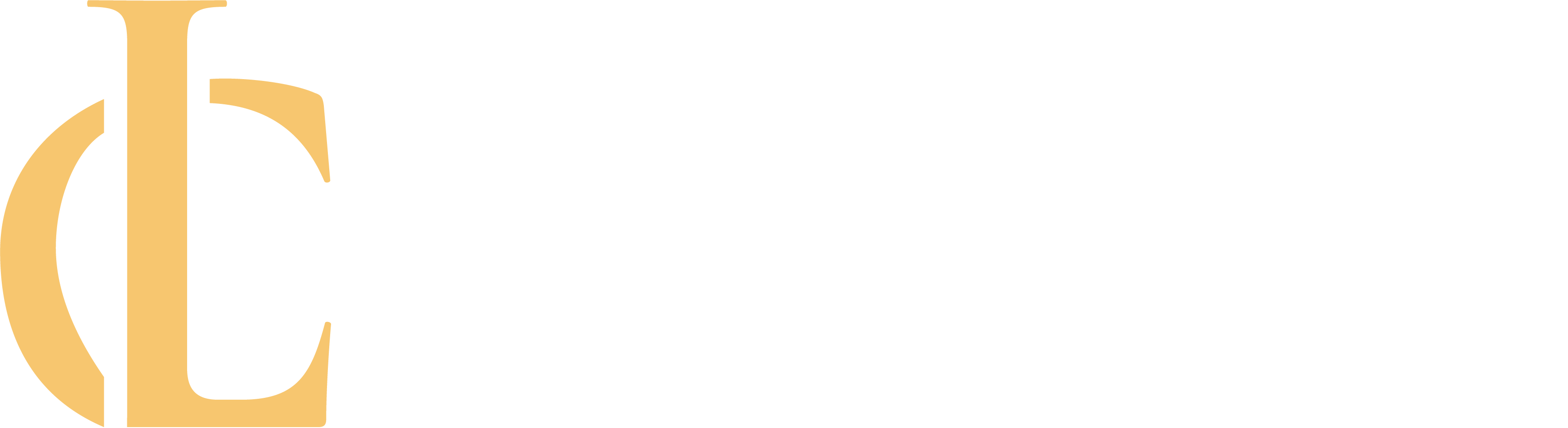 Lotz Consulting